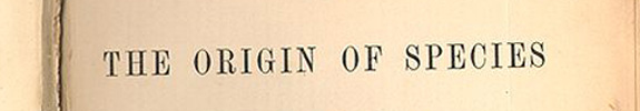 Illustrative Post Banner