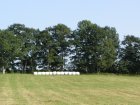 Marshmallow Farm 2 Marshmallow Farm 2