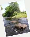Rest Stop River Rest Stop River