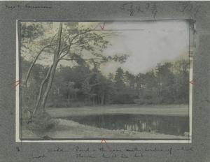 Walden Pond at the turn of the century, by Clifton Johnson